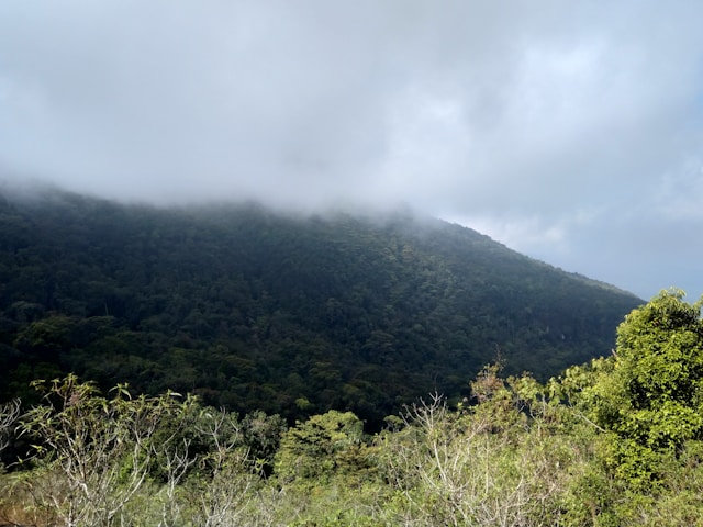 Little Adam's Peak