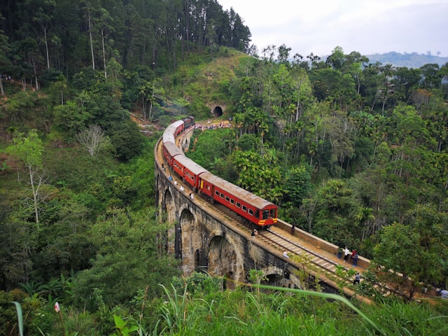 Blue Train of Ella